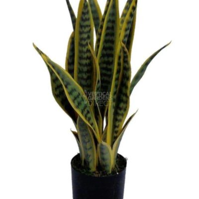 Florist team at Flowers in Wonderland