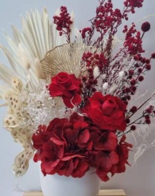 Potted fiddle leaf fig for Perth home