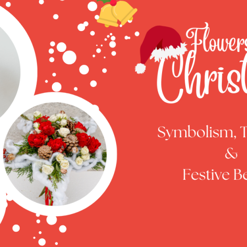 Why Flowers Matter at Christmas: Symbolism, Tradition & Festive Beauty