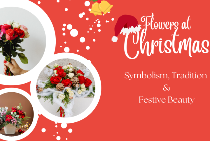 Why Flowers Matter at Christmas: Symbolism, Tradition & Festive Beauty