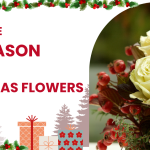 Christmas Flowers in Perth: Festive Bouquets, Centrepieces & Gift Arrangements