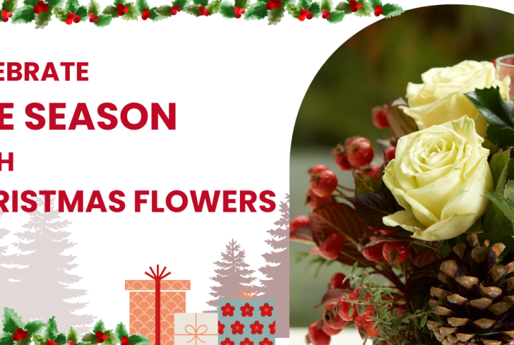 Christmas Flowers in Perth: Festive Bouquets, Centrepieces & Gift Arrangements